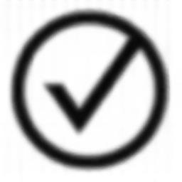 Checkmark in circle icon